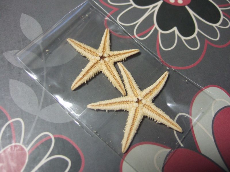 Starfish