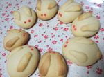 RabbitCookies