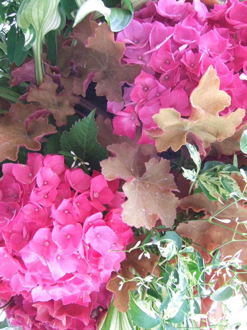 Hanging basket