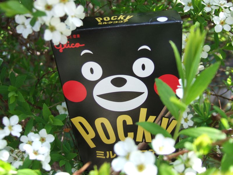 Kumamon Pocky