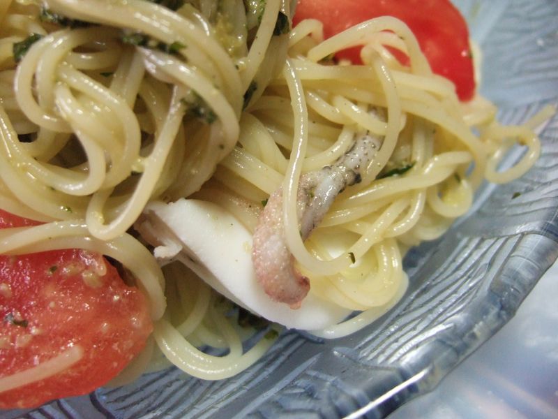 Pasta Squid