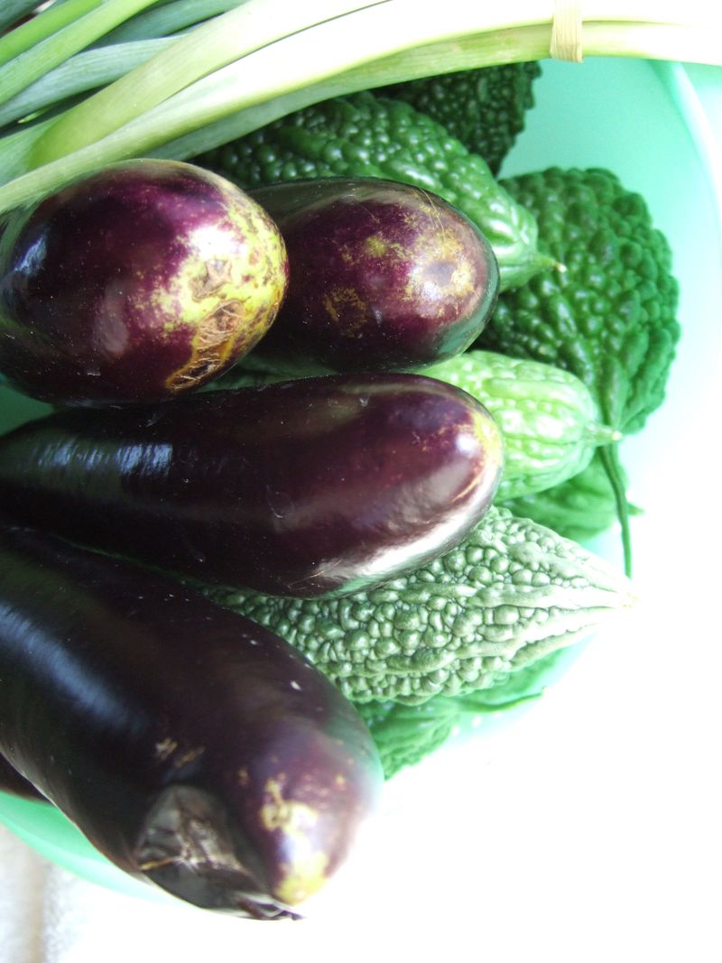 Eggplant