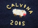 Sheep Calvina