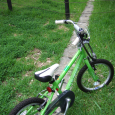 緑に緑。 Green bicycle