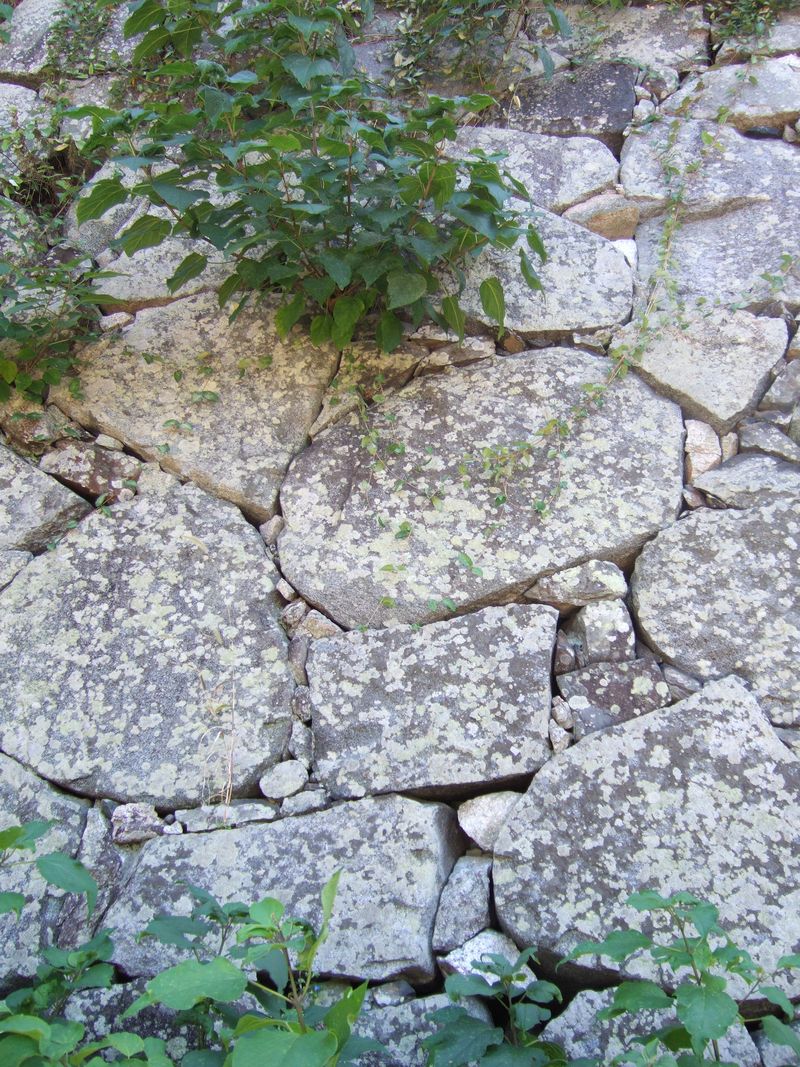 Stone fence