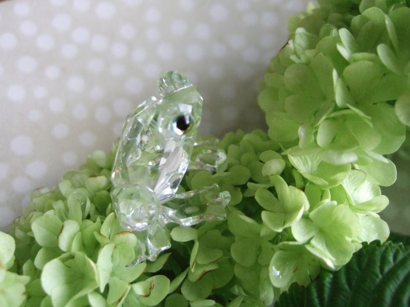 Swarovski's frog