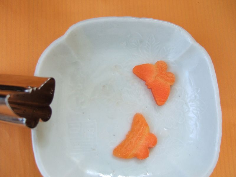 Aritsugu butterfly