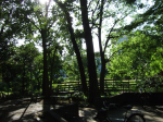 Library garden