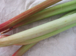 Rhubarb