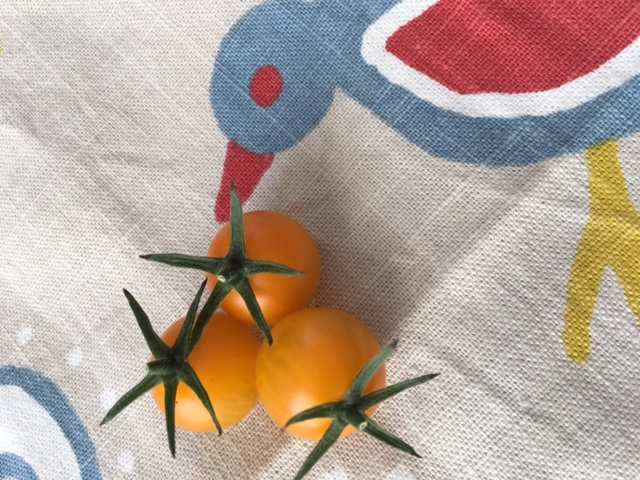 Yellow tomatoes