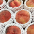 北限で育った桃。 Peach 2019