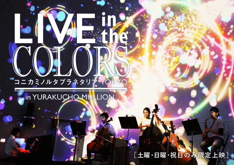 Live in the Colors_Mullion