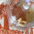 動物クラッカー。　Duck cracker