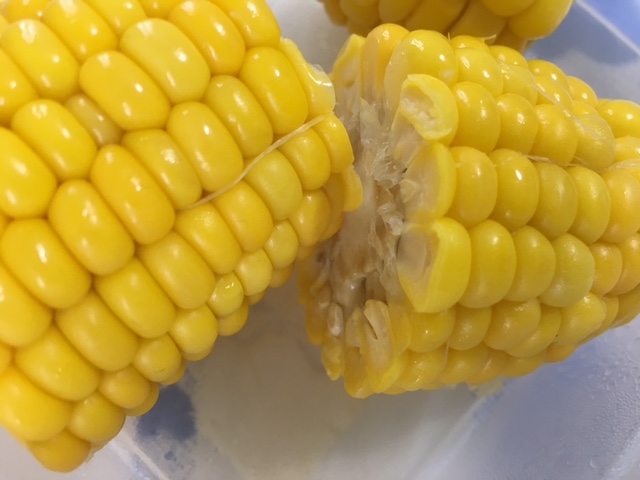 Corn