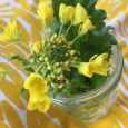 菜の花！　Turnip rape flower