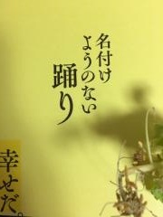 Leaflet_Min Tanaka