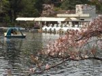 Inokashira park