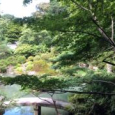 寺の庭。 Garden in a temple