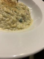 Oysters in Risotto