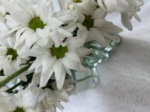 White chrysanthemum2