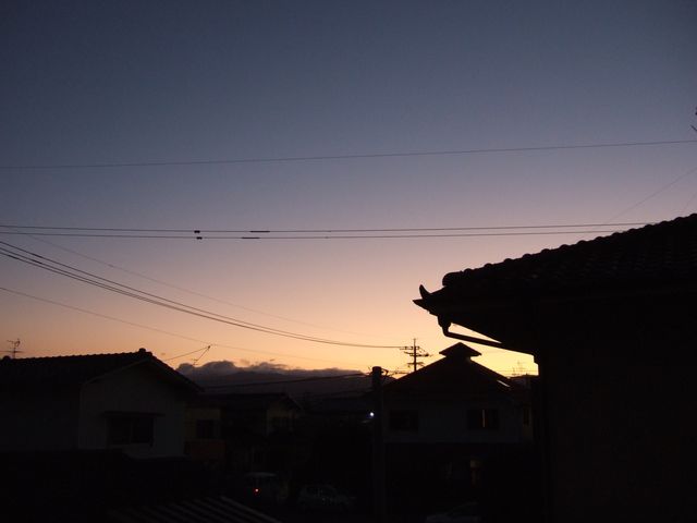 もの悲しい桃色。