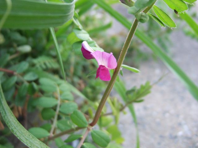 時には、しゃがむ。
