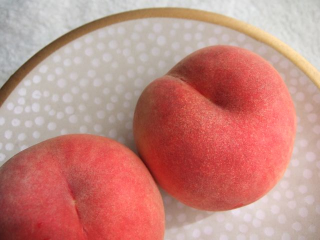 かづの 北限の桃！　Borderline for Japanese peach