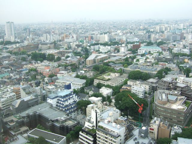 まだ足りない。　Roofs