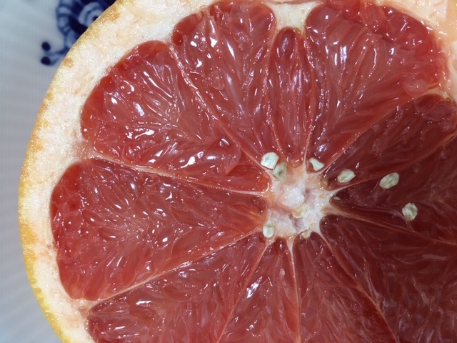 南アフリカ産。 Grapefruit from  South Africa
